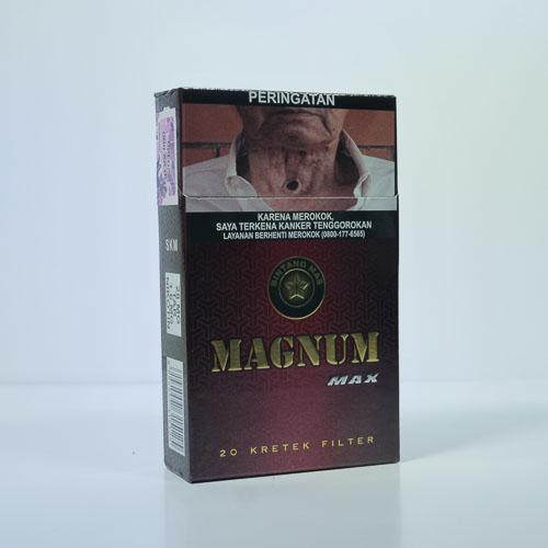 MAGNUM MAX 20
