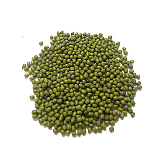 KACANG IJO
